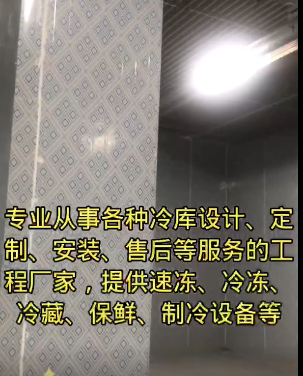 视频预览